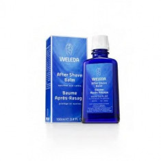 MEN Aftershave Weleda Balsam 100ml foto