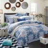 Lenjerie Pat Dublu Bumbac Ranforce Love House 4 Piese (Cearsaf 230x250, Pilota 200x230, Fete Perna 48x74)