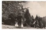 CPI (B8450) CARTE POSTALA - MUNTII BUCEGI. CABANA &quot;POIANA STANII&quot;, RPR