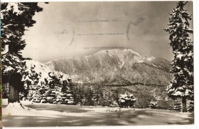 CPI (B8447) CARTE POSTALA - VEDERE SPRE MASIVUL POSTAVARUL foto