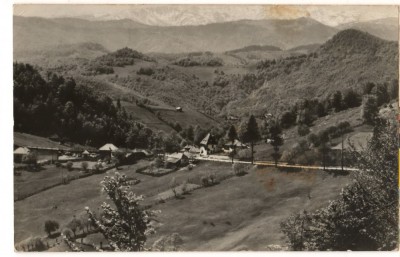 CPI (B8442) CARTE POSTALA - RUCAR. PASUL GIUVALA foto