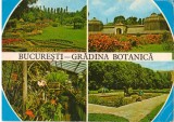 CPI (B8478) CARTE POSTALA - BUCURESTI. GRADINA BOTANICA, MOZAIC, Circulata, Fotografie