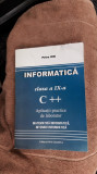 Informatica Clasa A IX A C ++ APLICATII PRACTICE DE LABORATOR PETRE ION