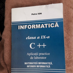 Informatica Clasa A IX A C ++ APLICATII PRACTICE DE LABORATOR PETRE ION