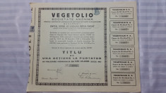 ACTIUNI - VEGETOLIO - 1939 - TITLU DE ACTIUNE LA PURTATOR CU VAL. NOM. 10000 LEI foto