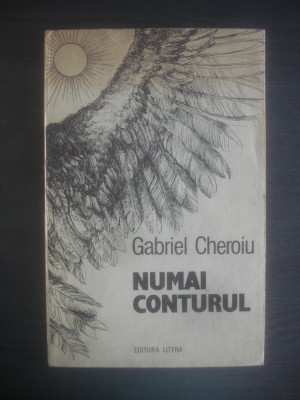 GABRIEL GHEROIU - NUMAI CONTURUL foto