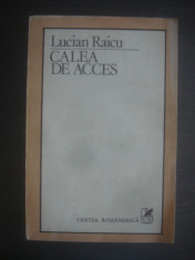 LUCIAN RAICU - CALEA DE ACCES foto