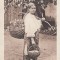 TANARA TIGANCA CIRCULATA 1917 POSTA GERMANA FELDPOST