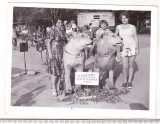 Bnk foto - Mamaia - Satul de vacanta - Foto Daktari 1978, Alb-Negru, Romania de la 1950