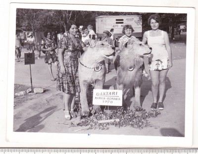 bnk foto - Mamaia - Satul de vacanta - Foto Daktari 1978 foto