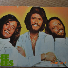 Formatia Bee Gees - Vedere