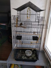 pereche cinteze diamant foto