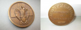 5158-Medalia Vintage Crucea Rosie Belgiana bronz.