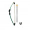 Arc compound cu sageti Bear Archery