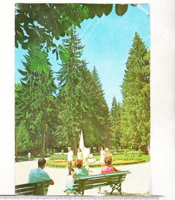 bnk cp Olanesti - Vedere din parc - circulata - marca fixa foto