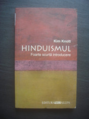 KIM KNOTT - HINDUISMUL, FOARTE SCURTA INTRODUCERE foto