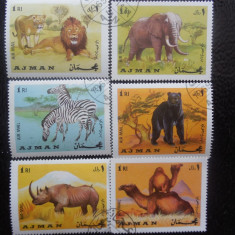 Serie timbre fauna animale stampilate Ajman timbre filatelice postale