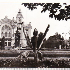 bnk cp Cluj - Teatrul National - circulata