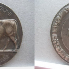 Medalia veche NAMUR Belgia 1941. Metal argintat.