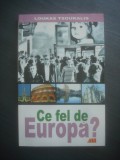 LOUKAS TSOUKALIS - CE FEL DE EUROPA?