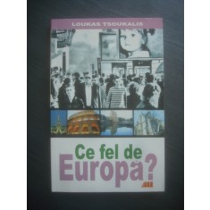 LOUKAS TSOUKALIS - CE FEL DE EUROPA?