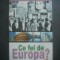 LOUKAS TSOUKALIS - CE FEL DE EUROPA?