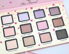 Too Faced trusa make-up profesionala Funfetti trusa machiaj ochi SUA foto