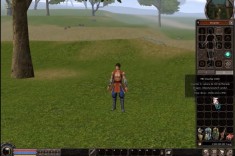 YANG METIN2.RO ORICE SERVER !!! foto
