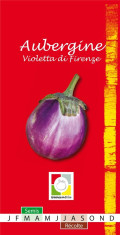 Seminte de vinete Violetta di Firenze foto