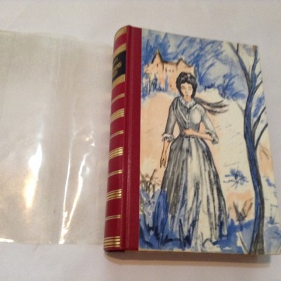 Wunthering heights Emily Bronte,R15 foto