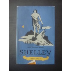 DAN GRIGORESCU - SHELLEY