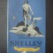 DAN GRIGORESCU - SHELLEY