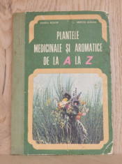 Carte - Plantele medicinale si aromatice de la A la Z - Ovidiu Bojor (1982) #381 foto