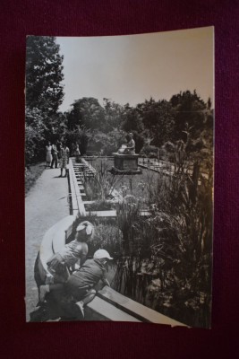 aug17 - Cluj - Muzeul botanic foto