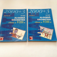 Anton Negrila - Mate 2000+2 Algebra geometrie clasa a VIII a I+II ,RF11/4
