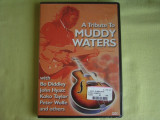 A Tribute To MUDDY WATERS - D V D Original NOU (Sigilat), DVD, Rock