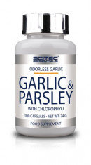 Garlic &amp;amp;amp; Parsley 100 caps SNGP100 100 capsule foto