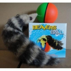 Jucarie minge distractiva BEAVERS BALL foto