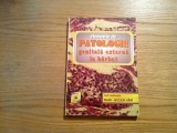 Elemente de PATOLOGIE GENITALA EXTERNA LA BARBAT - Mihai-Nicolae Bina (autograf), Alta editura
