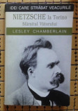 Nietzsche la Torino : sfarsitul viitorului / Lesley Chamberlain