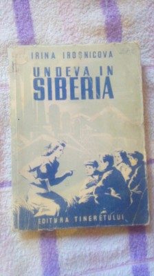 Undeva in Siberia-Irina Irosnicova foto