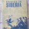 Undeva in Siberia-Irina Irosnicova