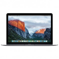 Notebook Apple AL MB 12&amp;quot; INTEL-M3 8GB 256GB OSX INT GRI foto