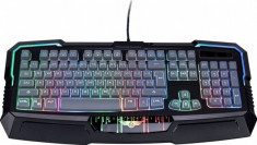 Tastatura Newmen KB-813-BK, USB, gaming, iluminata foto