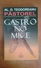 Gastronomice - Al. O. Teodoreanu Pastorel foto
