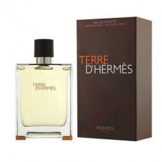 Hermes Terre d&amp;#039;Hermes Eau De Toilette 200ml foto