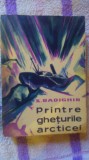 Printre gheturile arcticei-K.Badighin
