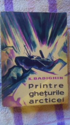 Printre gheturile arcticei-K.Badighin foto