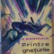 Printre gheturile arcticei-K.Badighin