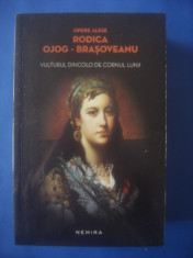 RODICA OJOG-BRA?OVEANU - VULTURUL DINCOLO DE CORNUL LUNII foto